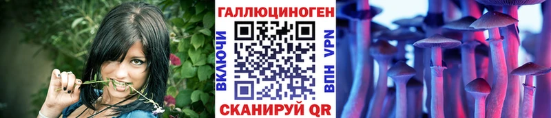 Купить  Горячеводский  Псилоцибиновые грибы Magic Shrooms 